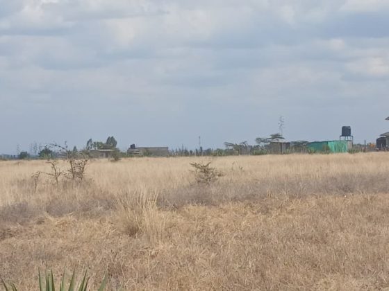 Land Overview
